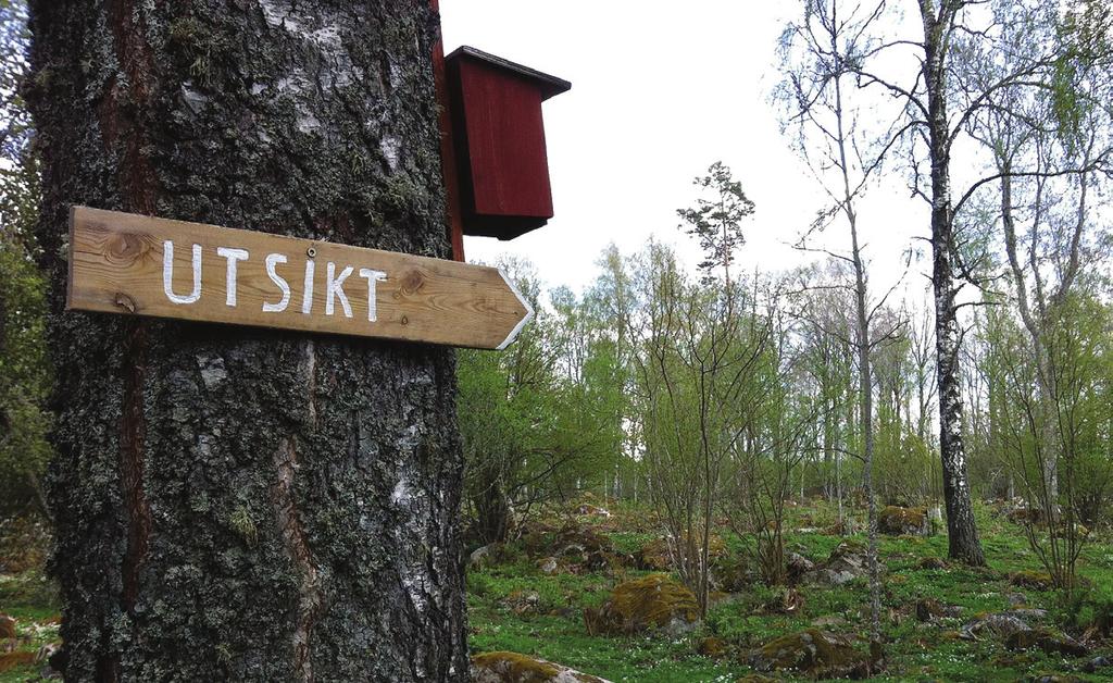 Ett smultronställe är ett utflyktsmål med höga natur- och friluftsvärden. Det finns ett 30-tal smultronställen i länet. Från en bergsknalle söder om tornet har man god utsikt över sjön.