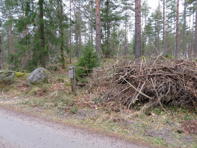 Utmed vägen mot Sävsjö by finns flera