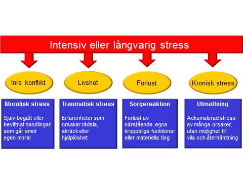 Stresskontinuum utgörs av fyra zoner: Redo (grön), Reagerar (gul), Påverkad (Orange) och Symtom (röd). Det är viktigt att notera att de flesta människor kommer att reagera inför stressande stimuli.