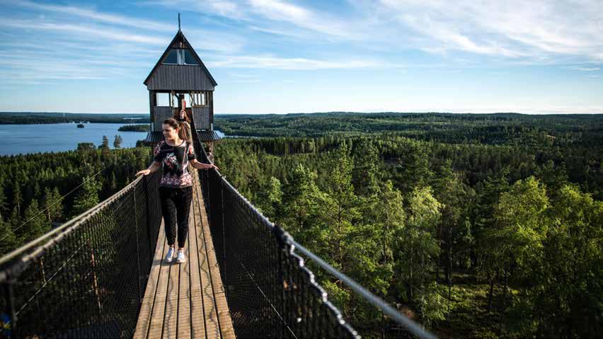 Zipline efter lunch Röda Kamikaze-banan Kaffe/tee fralla efter åkningen innan hemfärd Entré hängbro Hänförande utsikt över sjö och skog Middag och kaffe Grillplats under tak Badtunna med djupdel 40