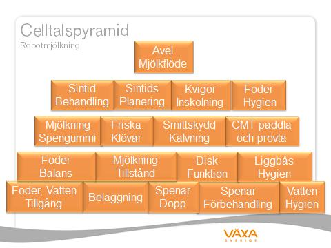 Vid automatisk mjölkning ersätts många arbetsrutiner av inställningar och teknikfunktion.