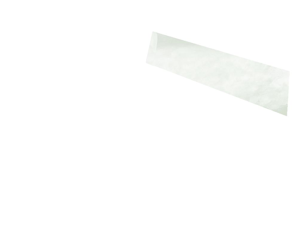 Plan skala 1:500 FHK