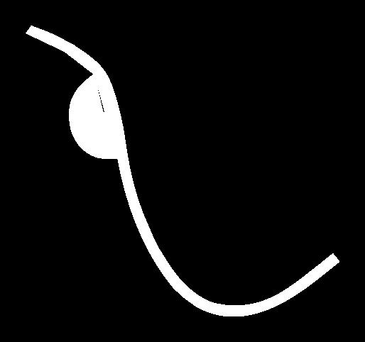 FRILUFTSAKTIVITETS