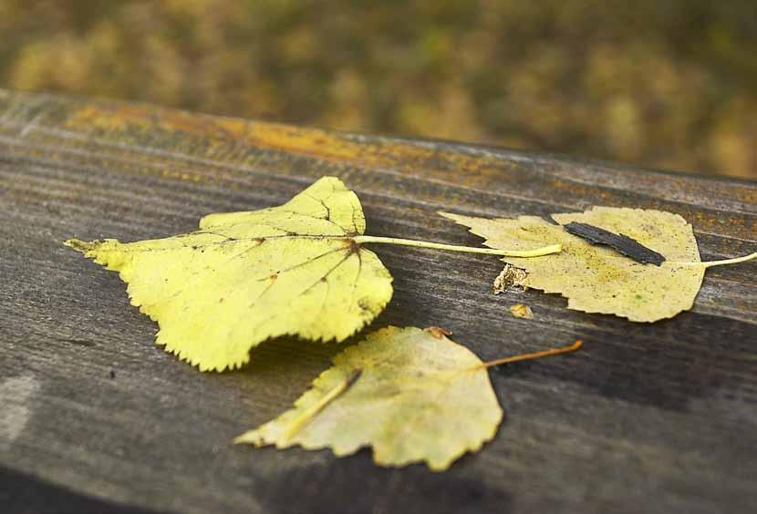 PhotoXpress.com nytt KYRKOBOKFÖRING Användardag - kyrkans it-system 17 september, Flämslätts stiftsgård Kyrkobokföring av församlingens tillhöriga hanteras med programmet KBOK 2003.