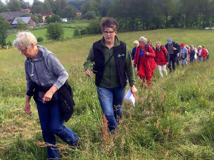 SOCKENVANDRING I MULENS MARKER Foto: Sven-Hilding Arnell Många var intresserade av att vandra i Mulens marker och av att få veta lite mer om bygden. Sommarvandring eller sockenvandring?