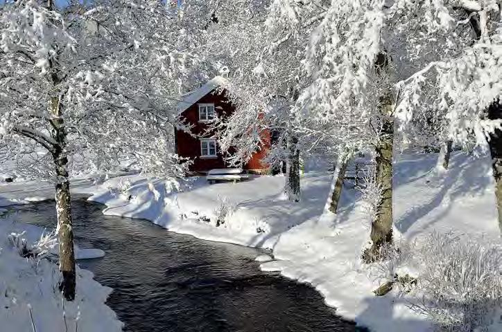 Foto: Börje Ohlsson 18 januari 2016