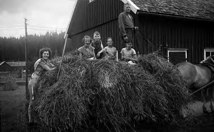 Året är 1950.