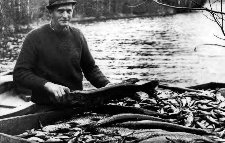 kan vara av betydelse. Slam kommer till vattendragen främst i samband med jordoch skogsbruk, så där behövs förbättrad miljöhänsyn. Surtan är verkligen en fin å idag men den kan bli ännu bättre.