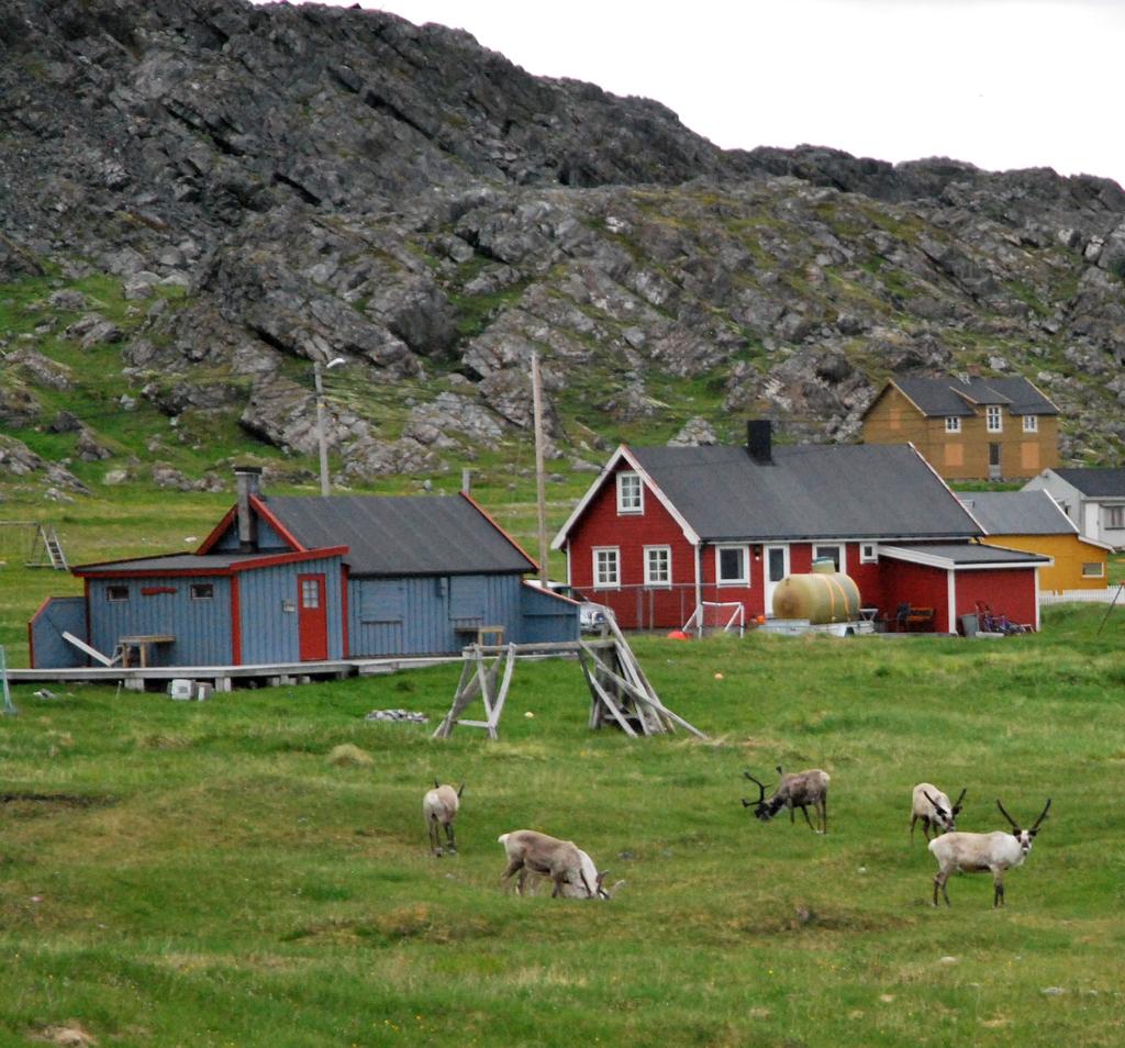 Havet och ensamheten Hamningberg 01.30 Jag kör vidare genom natten. Ljuset ger sig inte, aldrig. 40 km från Vardø ligger Hamningberg. Resan hit tar nästan två timmar, vägen är liten, stoppen är många.