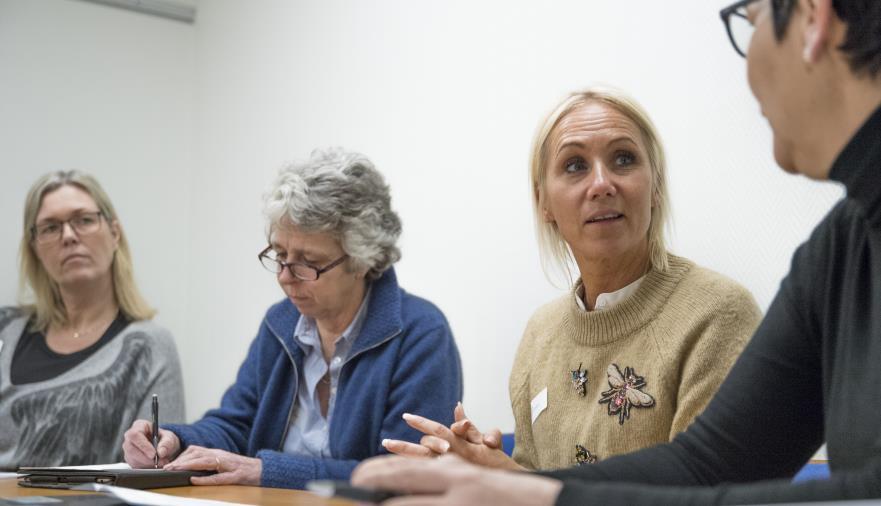 Handledarrollen Leder samtalen i moment B och D Planerar de kollegiala träffarna Ställer frågor som utmanar och fördjupar Organiserar den gemensamma