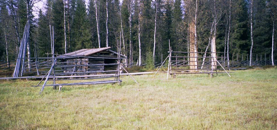 Bevarandeplan Natura 2000 Lillsjöslåttern SE0710084 Namn: