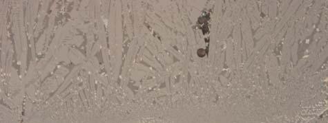Figur 7. Slaggen i prov nr 5 i mikroskop. Detalj på kontakten mellan två slaggflöden som kantas av en väldefinierad zon av magnetit (ljusa kantiga kristaller).
