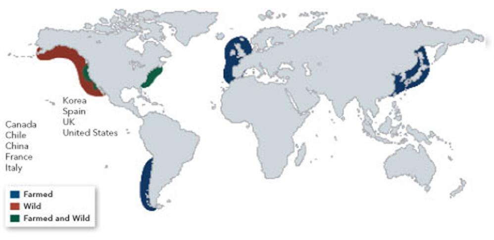 Outnyttjad resurs av näringsämnen Europa producerar > 1/3 av världens musslor = 600 000 ton/år, Sverige: endast 2 000 ton/år, öka minst x 10, varav 75% redan