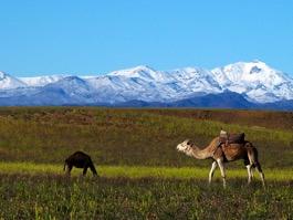 Middag (ingår) och övernattning på Kasbah Ameridil, i direkt anslutning till en av Marockos mest kända kasbohr