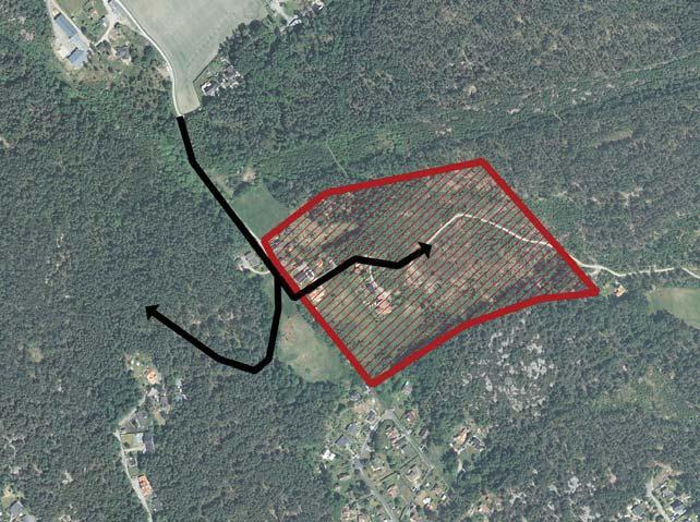 trädgårdsstad med skogen som tydligt inslag bostäder i grönska.