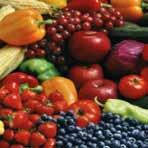 Tanken är att växtbaserade livsmedel ska utgöra den STÖRSTA DELEN