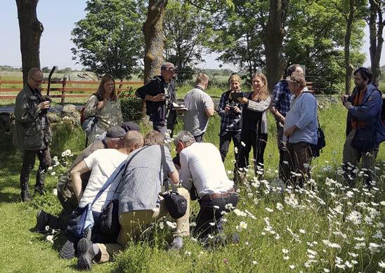 FOTO: BRITTMARIE GÄRDENFORS. Miljöarbete ArtDatabanken är miljöcertifierad enligt standarden ISO 14001:2015 och bedriver ett aktivt arbete som får goda betyg vid externrevision av certifikatet.