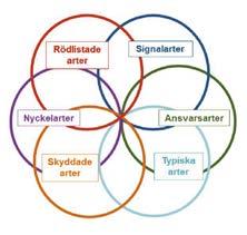 Skogslevande arter. Jättepraktbagge Chalcophora mariana är klassad som Starkt hotad i 2015 års rödlista. Förekommer sällsynt i Balticum och Norge.