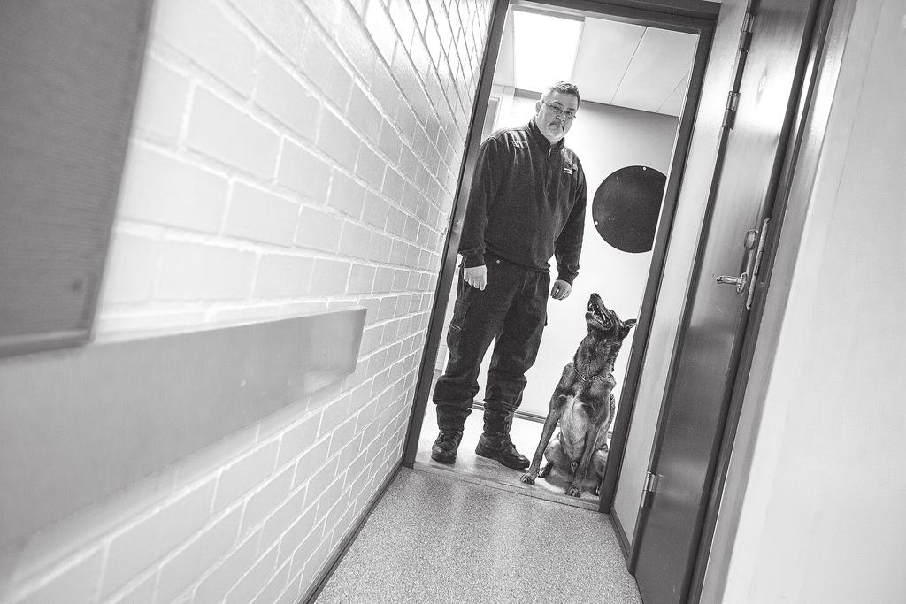 RESULTATREDOVISNING 6. EN DYNAMISK SÄKERHET Översyn av dynamisk säkerhet i klass 2-anstalter Säkerhetsskydd Arbetet med skalskyddsförbättringar vid anstalter i säkerhetsklass 2 har fortsatt.