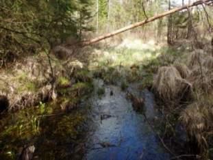 Objektet är ett strömmande vattendrag som rinner från ett våtmarksområde i norr.