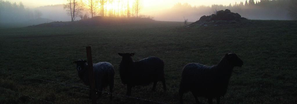 Välkommen! Byarna Öndal och Skedshult ligger så tätt, att det knappt går att skilja dem åt.