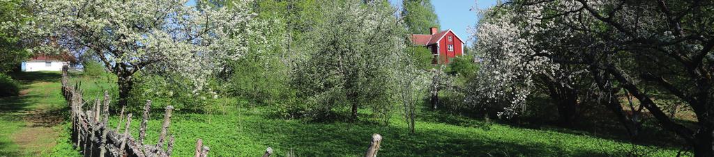 Västerviks kommun ligger längs södra Sveriges ostkust. Kommunen är cirka sju mil lång och fyra mil bred. Det gör Västervik till en av de större kommunerna i södra Sverige.