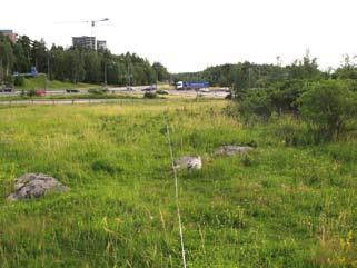 Transekt 2 börjar vid samma meterhöga