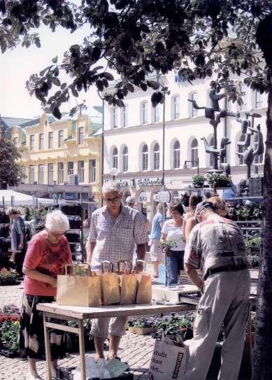 kommun Antaget av