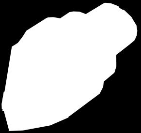 livslängd och