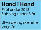 Distriktets verksamhetsmål: att verka för att ett Wildscoutläger utformas och genomförs under 2018.