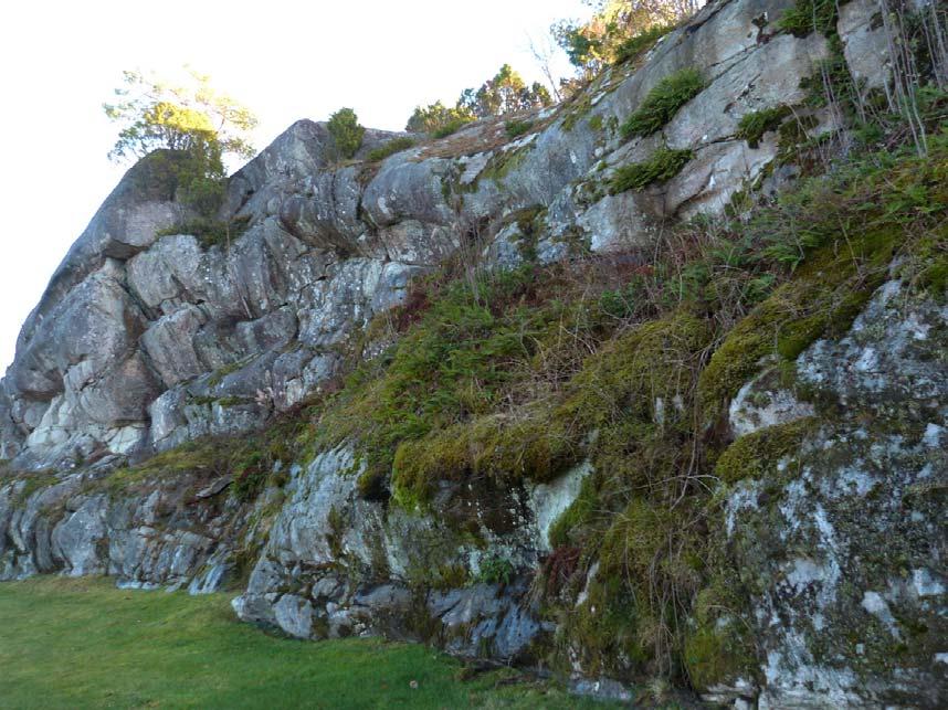 4. Nordvänd klippvägg Naturvärdesklass: Påtagligt naturvärde naturvärdesklass 3. Dominerande naturtyp: Berg och sten.
