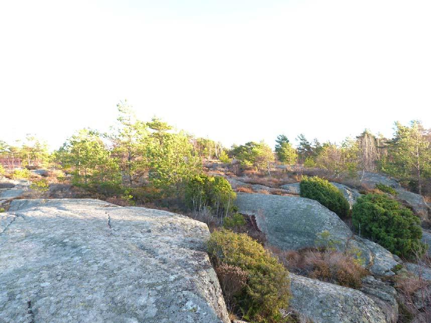 5. Öppna hällmarker Naturvärdesklass: Visst naturvärde naturvärdesklass 4. Dominerande naturtyp: Berg och sten.