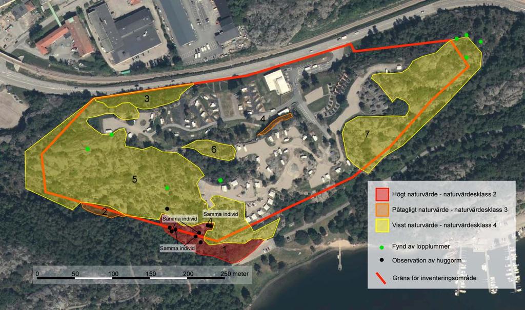 Karta 2. Inventeringsområdet (röd linje) vid Strömstads Camping. Färgade polygoner markerar de olika naturvärdesobjekten.