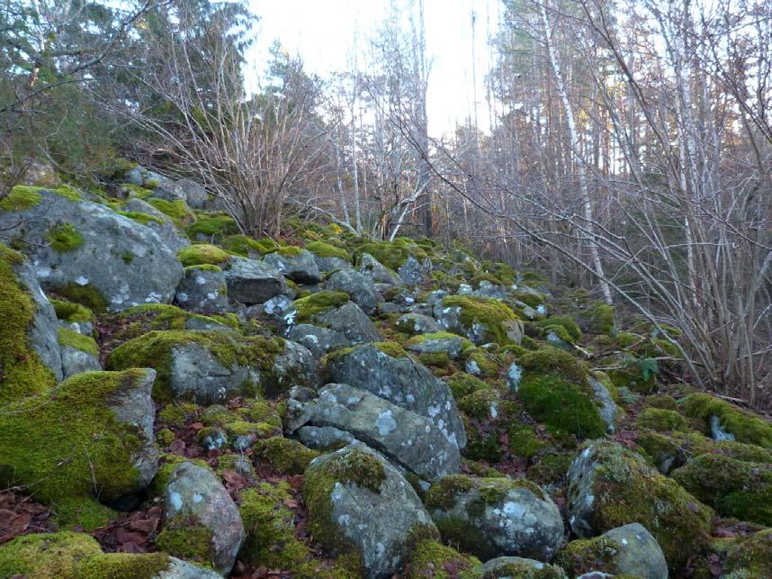 2. Sydvänd rasbrant/blockhav Naturvärdesklass: Påtagligt naturvärde naturvärdesklass 3. Dominerande naturtyp: Berg och sten.