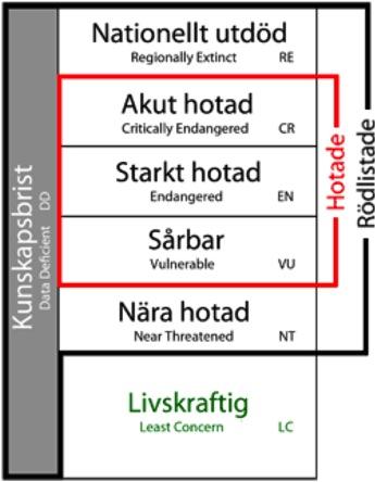Rödlistade arter har noterats som med gängse kategorier enligt Gärdenfors 2010 (Figur 4). Figur 4. Rödlistningskategorier enligt Gärdenfors (2010). Figur från ArtDatabankens hemsida.