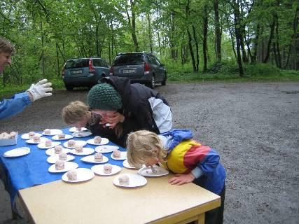 Ett 30-tal medlemmar deltog i den första Mälarö- SOK-dagen Den 17 maj var det premiär för ett troligen årligt återkommande evenemang, den lekfulla Mälarö SOK-dagen.