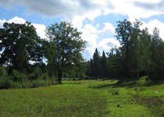 Miljöbedömning Tillhörande