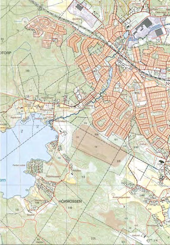 MILJÖBEDÖMNING SJÖSTRANDEN 46 st villr SKOLBERGET 10 st villr 2.