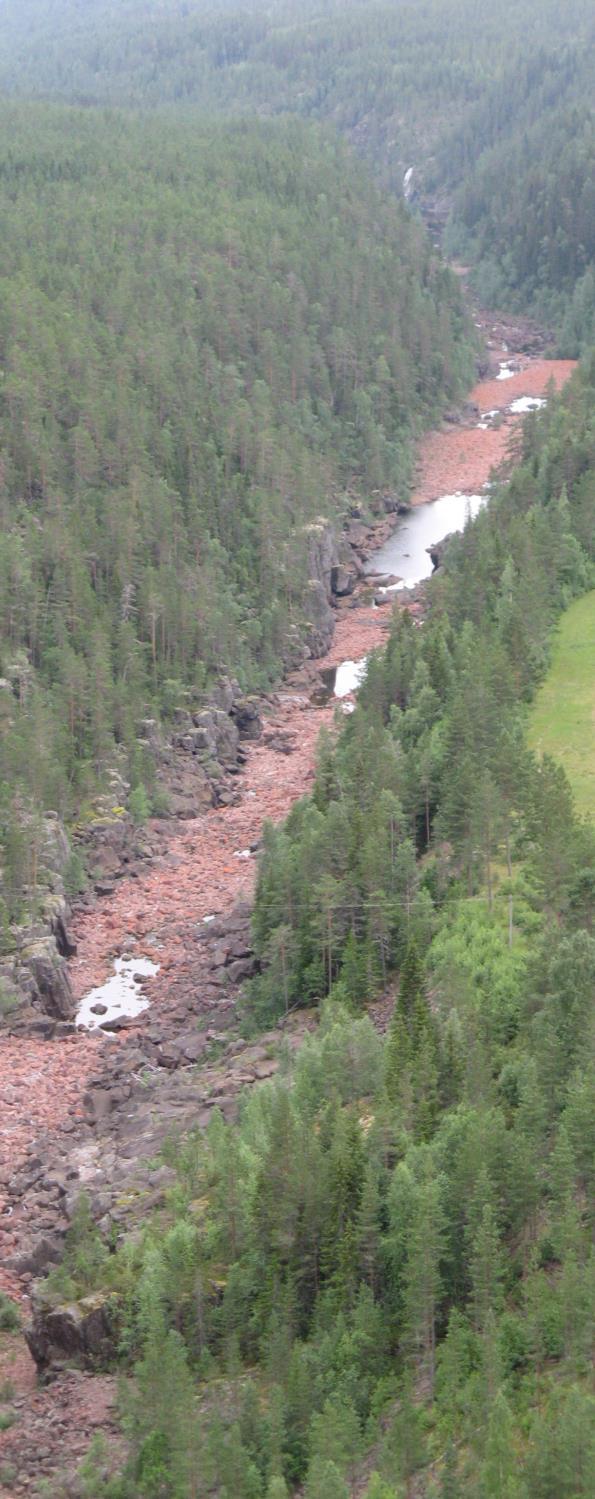 Hur långt når åtgärderna i åtgärdsplanen i förhållande till