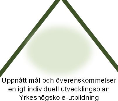 KOMPETENSPYRAMID Karriärutvecklingsmodell för undersköterskor barnsköterskor och skötare Nivå 4 Uppnått mål och överenskommelser enligt individuell utvecklingsplan Yrkeshögskole-utbildning och/eller