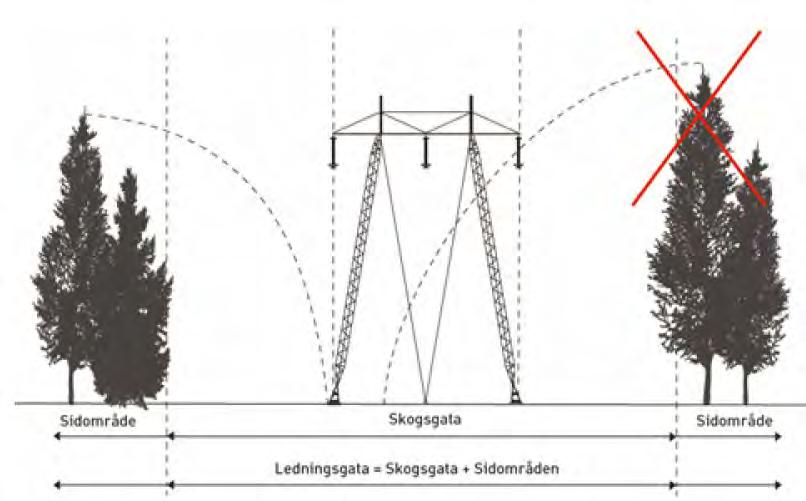 15 Figur 5.3. Principskiss över en ledningsgata i skogsmark. Överkryssat träd illustrerar kantträd som behöver tas bort på grund av att det kan skada ledningen om det faller. 5.4.