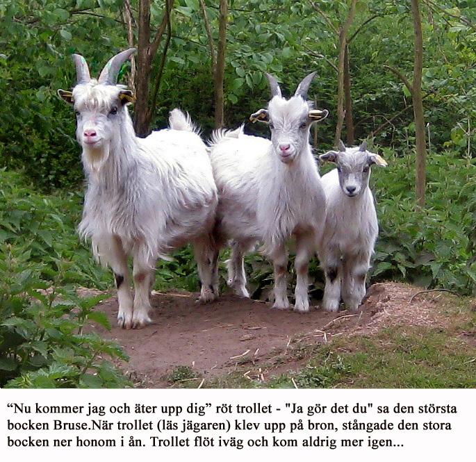 Varför i fridens namn är det bara vissa som råkar ut för alla tänkbara fadäser och malörer? Att jag har mera på min meritlista det vet ni säkert.