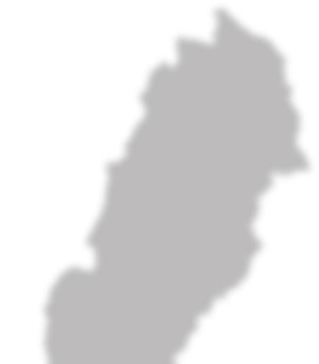 Regionala samarbeten Allt fler kommuner väljer att genomföra Lupp som en del av en större regional satsning. I 2016 års Lupp valde Region Gävleborg att samarbeta kring enkäten för målgruppen 19 25 år.