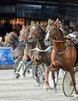 Fast Leif, Enånger Åberg J-O H / -7 9/ 0n 9,0 c c 05 Vit, gr/sv/gr vinkel, lila ärmar;vit Åberg J-O B 7/ -7 9/ 0, c c 78 0 Engblom Åsa (Fast Leif) a Osterling S H U 5/ - / 0v 8,0 c c 8 0 PRINCESS