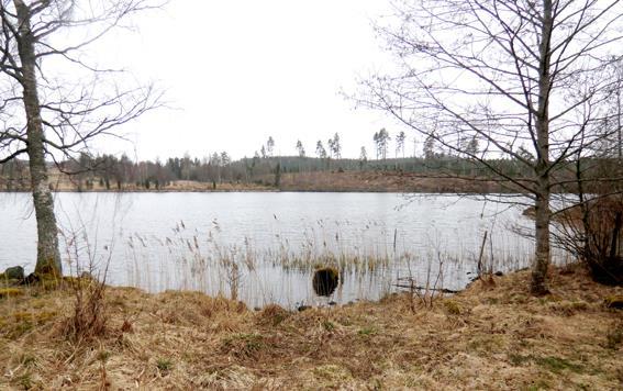 Samfälligheter På fastigheten har sommarstugan ner mot sjön servitut på nedfartsväg, infiltration samt vattenbrunn som belastar fastigheten. Jakten muntligt upplåten till och med 2016-06-30.