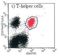 Projekt A antigen expression on T-helper cells (CD4+) from individuals with the A 1 phenotype.