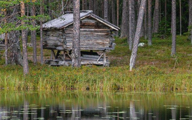 Ett effektivt kulturmiljöarbete tydligt fokus Kulturmiljöfrågorna är utpräglat tvärsektoriella och berör många olika samhällsområden och verksamheter.