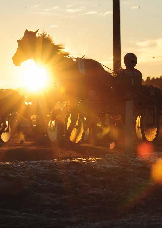 ÄR DU UNG OCH AKTIV INOM TRAVSPORTEN? Vill du träffa andra unga hästentusiaster och samtidigt få en dag fylld med inspiration? Var med på en utav Sveriges regionala ungdomsträffar.