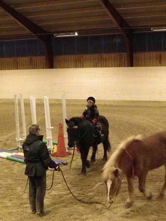 glad häst kommer hem en kväll och dansar runt i hagen, medan Bliða tittar förundrat på henne. Bliða och Sonia bestämmer gemensamt att detta berättar vi inte för veterinärerna.