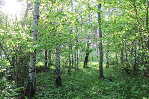 Här finns även en vedspis för värme. El och vatten är ej indraget i stugan. På gården finns även en mindre förrådsbyggnad med dass och förvaringsmöjligheter.